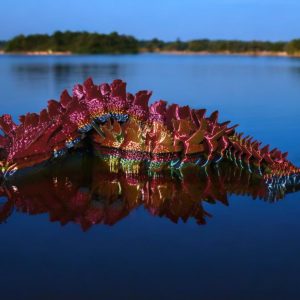 Dragon - Ocean — Small