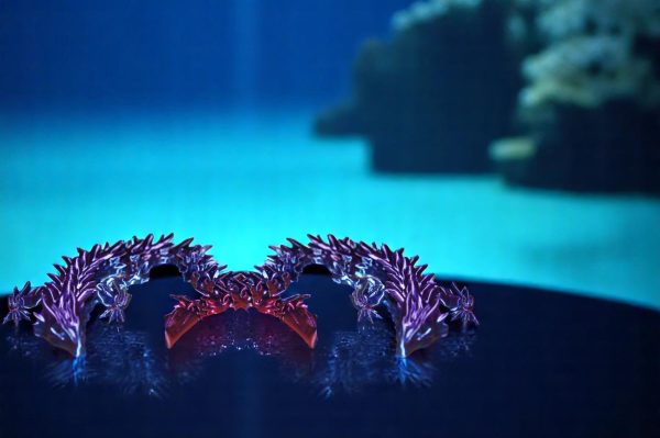 Dragon - Water - Image 5