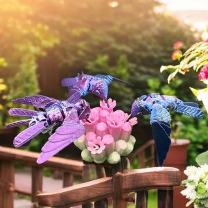 Fluttering Wonders with Hummingbird Beauties