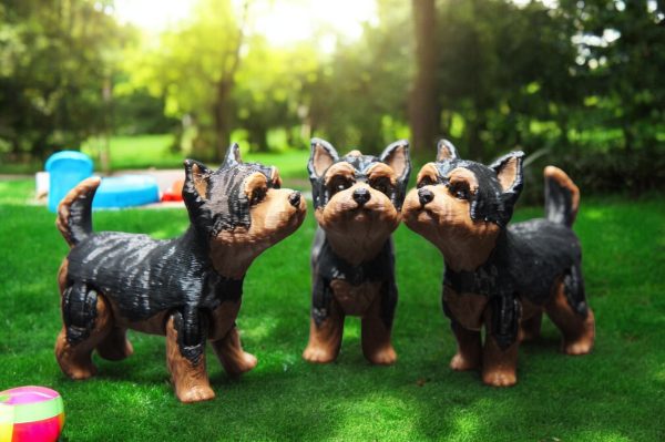 Yorki